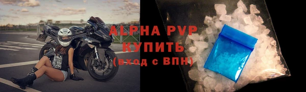 крисы Новодвинск