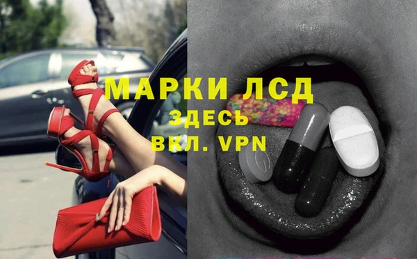 крисы Новодвинск