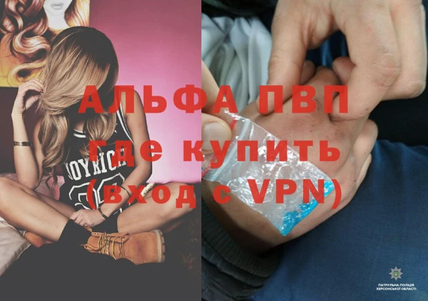 крисы Новодвинск