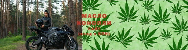 крисы Новодвинск