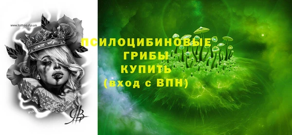крисы Новодвинск
